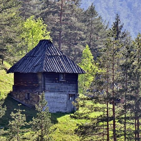 Апартаменты Sedmica Zlatibor Vip Bogic Экстерьер фото