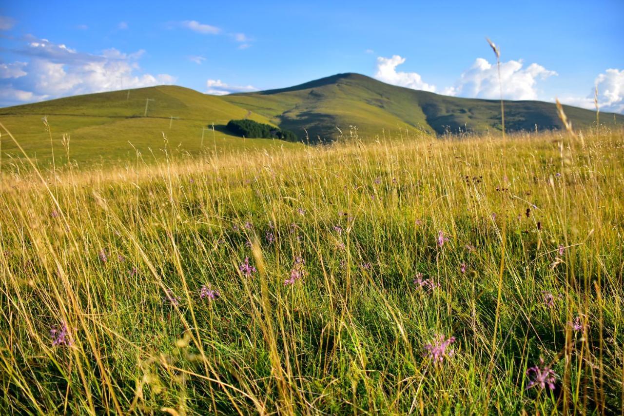 Апартаменты Sedmica Zlatibor Vip Bogic Экстерьер фото