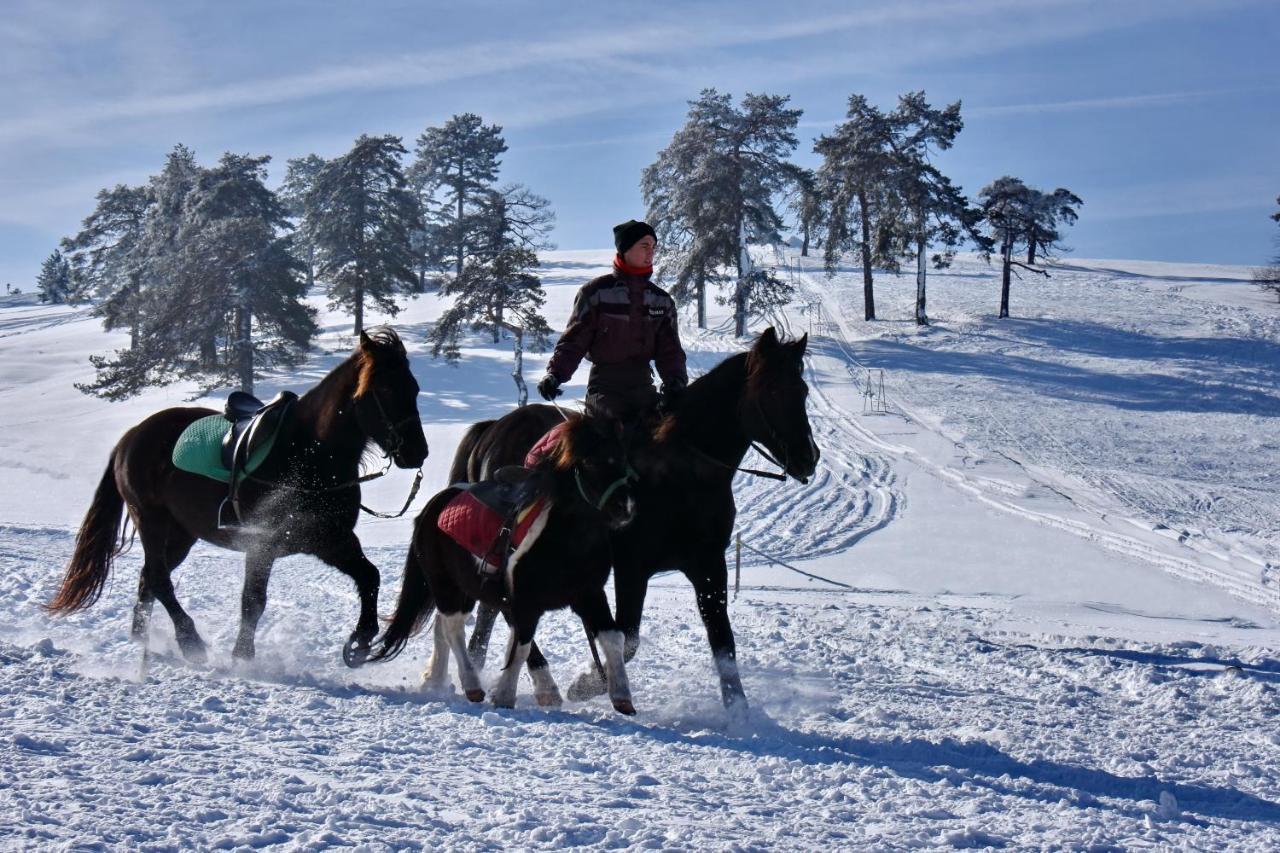 Апартаменты Sedmica Zlatibor Vip Bogic Экстерьер фото