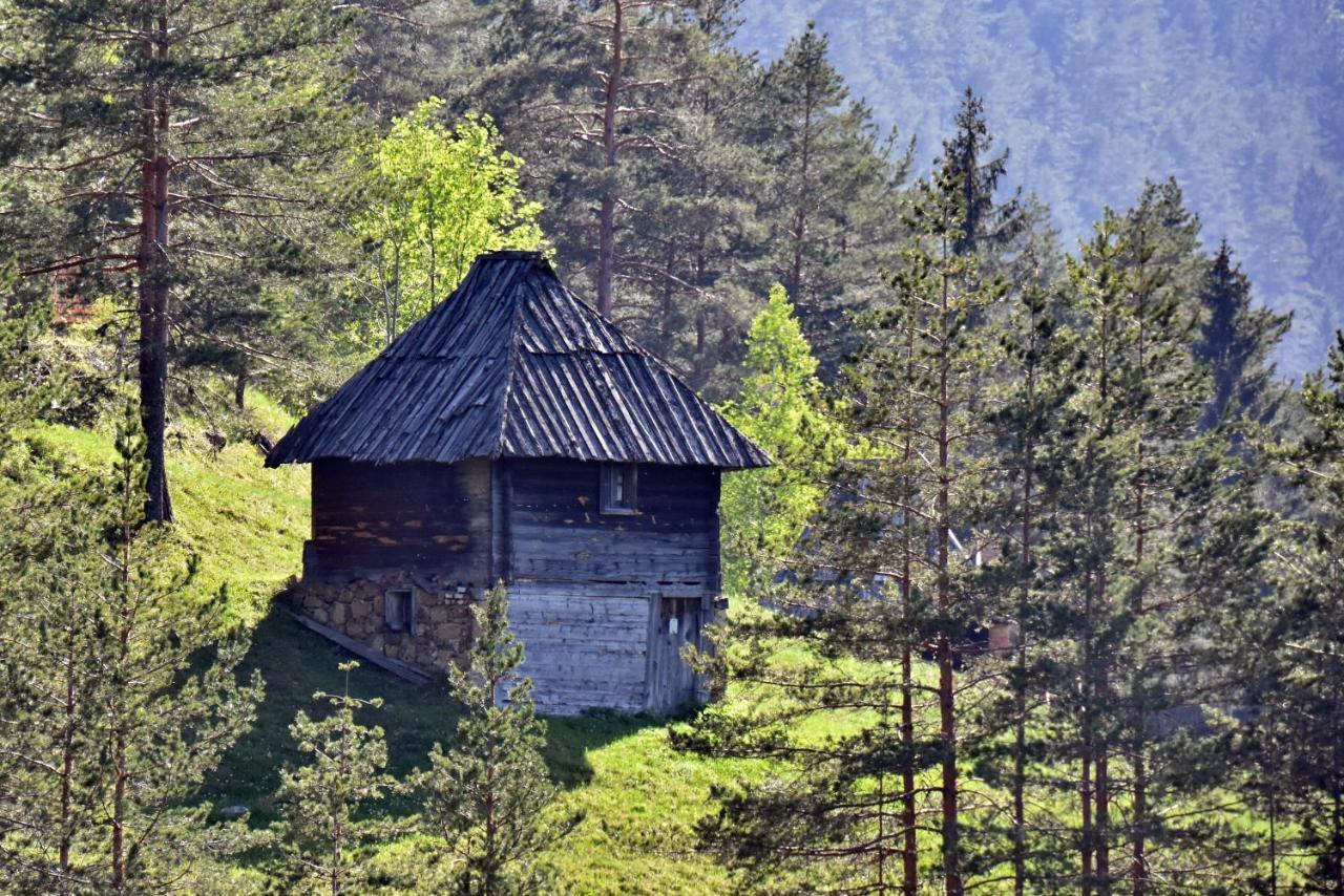 Апартаменты Sedmica Zlatibor Vip Bogic Экстерьер фото