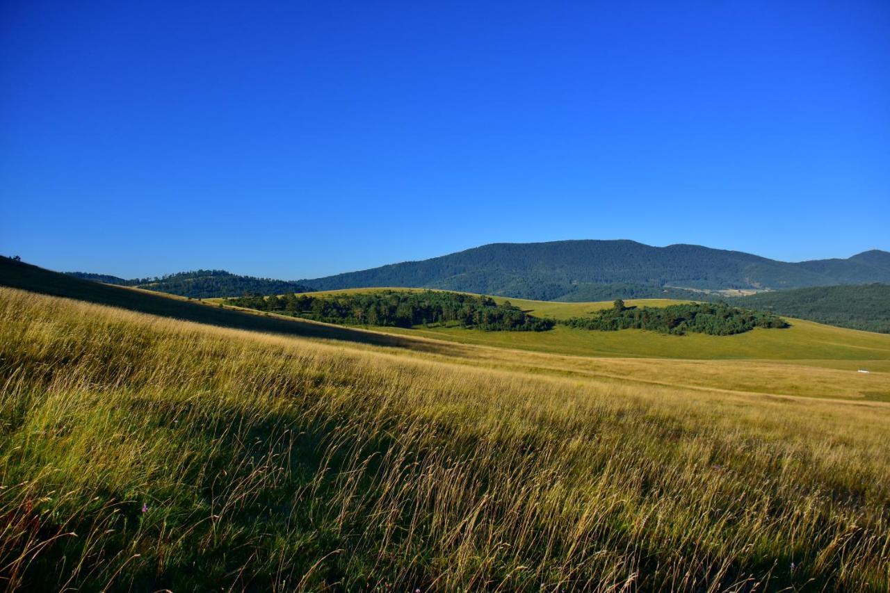 Апартаменты Sedmica Zlatibor Vip Bogic Экстерьер фото
